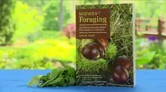 Midwest Foraging