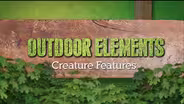 Creature Features