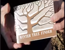 Tree Time