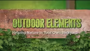 Helping Nature In Your Own Backyard