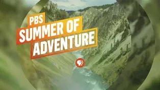 Summer of Adventure Preview