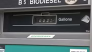 Biodiesel Industry Growing