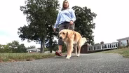 The Seeing Eye Trains Guide Dogs for Visually Impaired