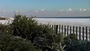 Christmas Trees Help Replenish Bradley Beach Dunes
