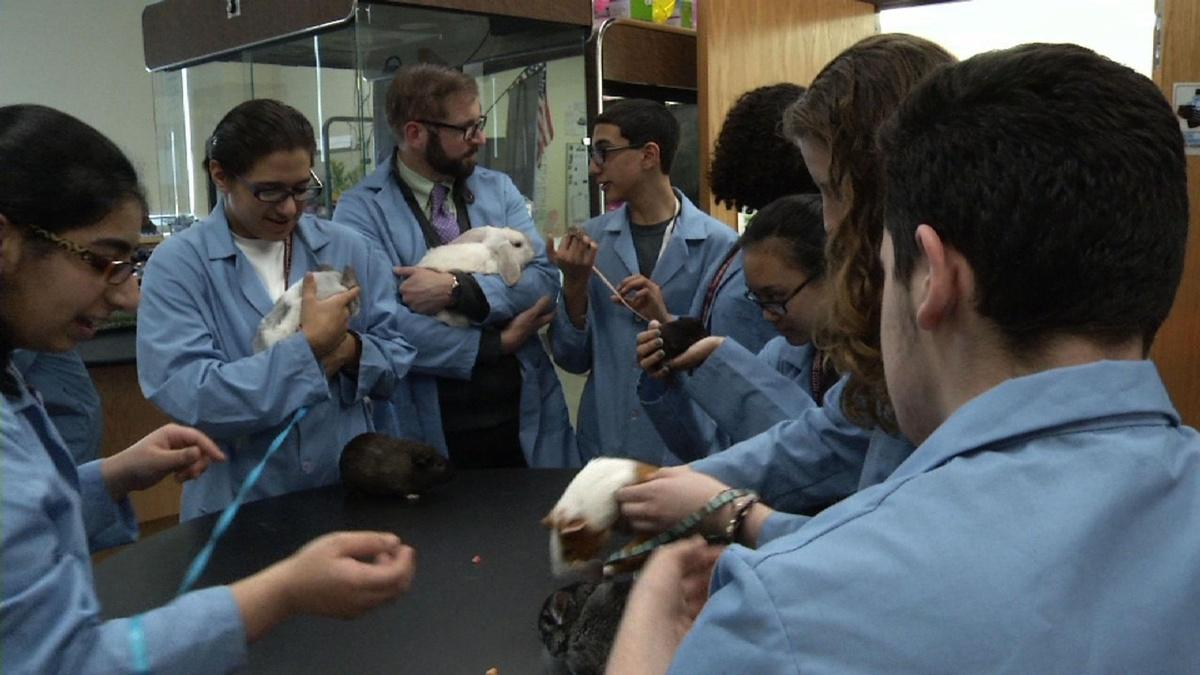 Bayonne HS Students Get Hands On Biology Lessons NJTV News THIRTEEN New York Public Media