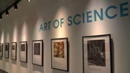 New Exhibit Looks at Science Through an Artistic Lens