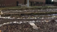 Seton Hall Garden Helps Campus Focus on Sustainability
