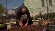 Newark's Adopt-a-Lot Program Lets Community Members Beautify