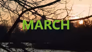 March Highlights 2017