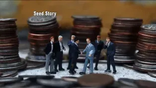 Seed Story