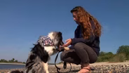 Dog Owners Upset with New Restrictions at ‘Dog Beach’