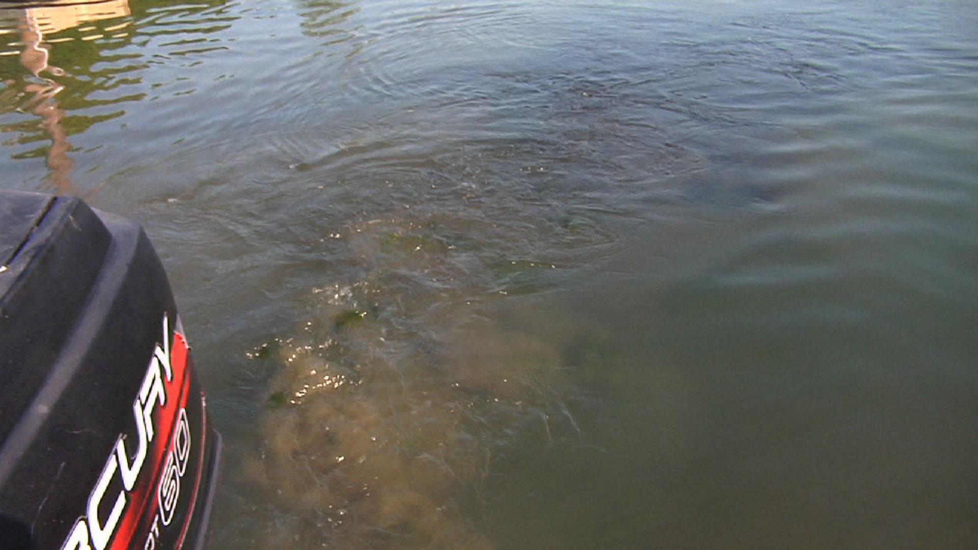 Coalition Frustrated Shark River Hasn’t Been Dredged NJTV News NJ PBS