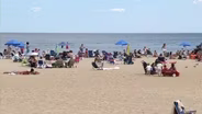 Should You Worry About Shark Attacks at the Jersey Shore?
