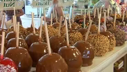 Finding a Sweet Treat in Point Pleasant Beach