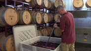 Wine Industry in New Jersey Gets Better With Age