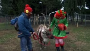 Rental Reindeers Deliver Holiday Cheer
