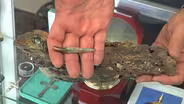 Ask Away: Where is Captain William Kidd’s Treasure Buried?