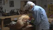 In Miriam's Basement, Zen and the Art of Sculpting