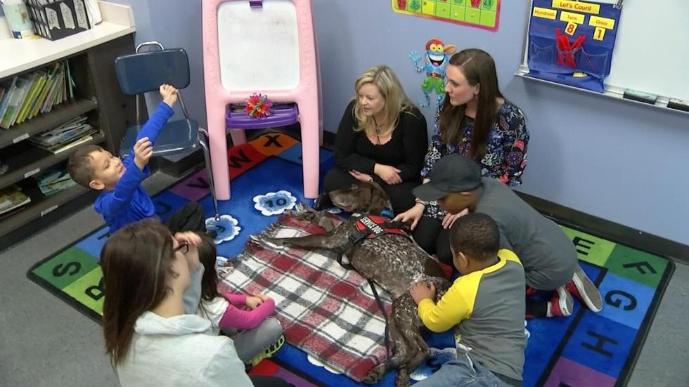 Special Education Schools Worried About DOE Proposals image