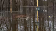 Flooding Concerns with Heavy Rain, But NJ Still in Drought