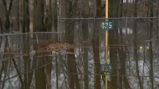 Flooding Concerns with Heavy Rain, But NJ Still in Drought