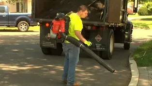 Maplewood Bans Commercial Use of Gas-Powered Leaf Blowers