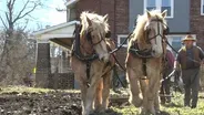 Kids Learn Farming the Old Fashioned Way