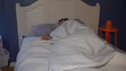 Why Do We Dream?
