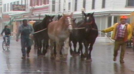 Video thumbnail: WNMU Documentaries When the Horses Leave: Metamorphosis at Mackinac