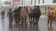 When the Horses Leave: Metamorphosis at Mackinac