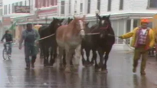 When the Horses Leave: Metamorphosis at Mackinac