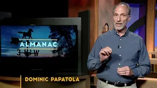 Dominic Papatola essay | May 2024