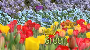 Naming Colors in Nature