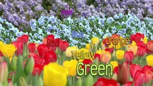 Naming Colors in Nature