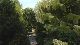 Video thumbnail: Volunteer Gardener Volunteer Gardener 2445