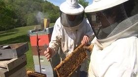 Video thumbnail: Volunteer Gardener Volunteer Gardener 2501