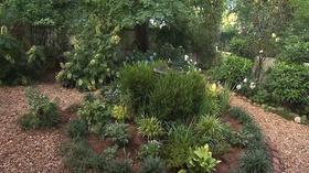 Video thumbnail: Volunteer Gardener Volunteer Gardener 2512