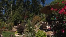Video thumbnail: Volunteer Gardener Volunteer Gardener 2543