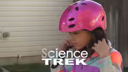 The Brain: Brain Fitness
