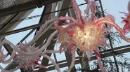 Aurora Robson at Franklin Park Conservatory