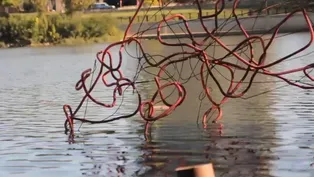 Tim Rietenbach Aims to Change Connotations of ‘Cowtown’