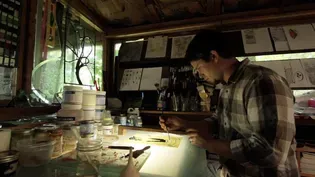 Billy Ireland Cartoon Library & Museum