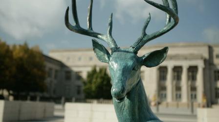 Video thumbnail: Broad and High Terry Allen's Deer Sculptures, Jim Arter's Life Within Art,