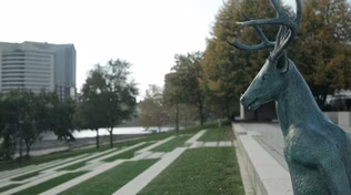 Terry Allen’s Deer Sculptures