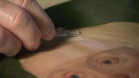 Video thumbnail: Broad and High The Restoration of 500-Year-Old Paintings
