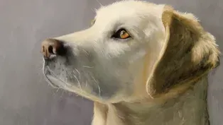 Eco-artists and Pet Portraits Preview