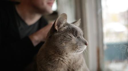 Video thumbnail: Broad and High Crime Cats, Appalachian Trail Photography, Homework Help