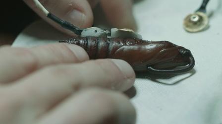 Video thumbnail: Broad and High Artist Profile: Jessica Ann