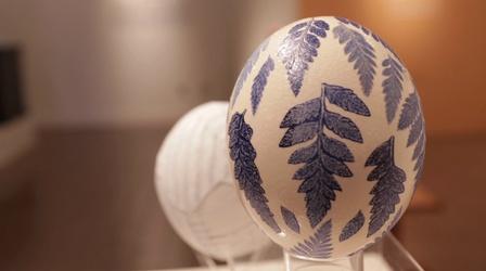 Video thumbnail: Broad and High Art Hatching Across Ohio, Marc Lincewicz, Terri Kern