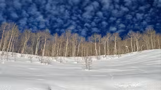 Photographer Rick Buchanan